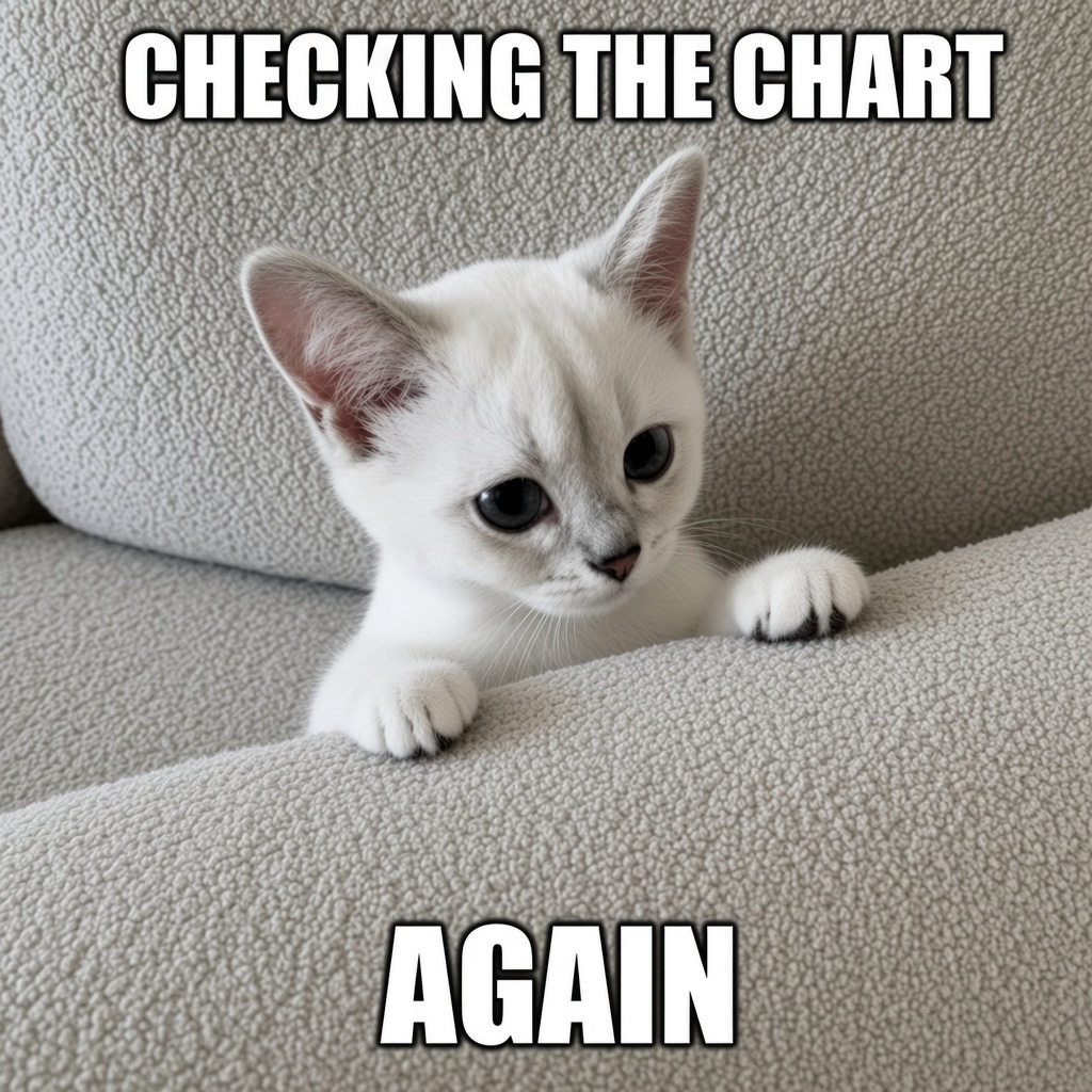 Mimi meme 18